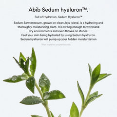 Abib - Sedum Hyaluron Crème Hydrating Pot