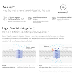 LAGOM - Cellus Mild Moisture Cream 80ml