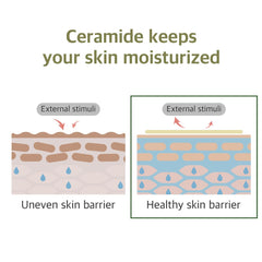 راوند لاب - منظف فول الصويا