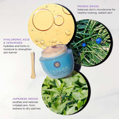 TATCHA The Indigo Overnight Repair