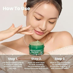 AXIS - Y - Mugwort Pore Clarifying Wash Off Pack