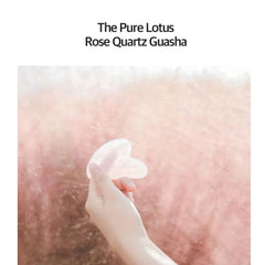 THE PURE LOTUS - Rose Quartz Guasha