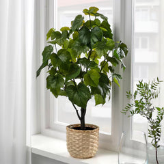 FEJKA Artificial potted plant, in/outdoor Crimson glory vine, 15 cm