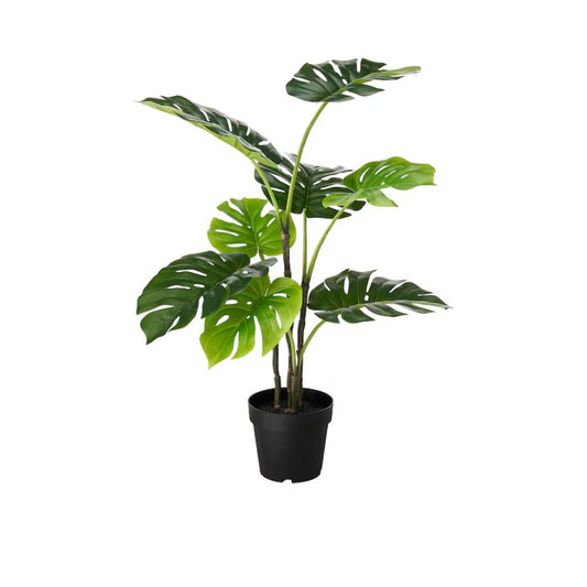 FEJKA Artificial potted plant, in/outdoor Monstera, 19 cm