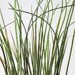 نبات صناعي من فيجكا، عشب، 17 سم