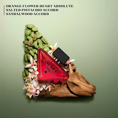 عطر برادا بارادوكس راديكال إيسنس