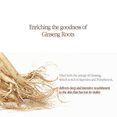 Pyunkang Yul - Black Tea Enriched Cream