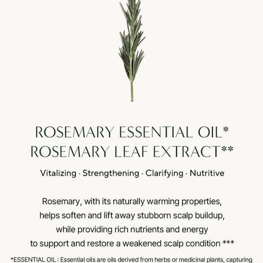 AROMATICA - Rosemary 3-in-1 Treatment (160ml)