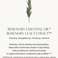 AROMATICA - Rosemary 3-in-1 Treatment (160ml)