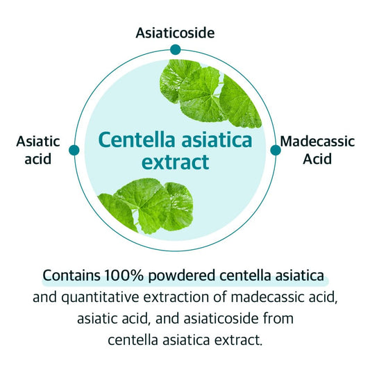 ALIVE:LAB - Centella Dressing Powder (8ml)