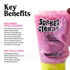 أنليشيا - منظف سوربيه