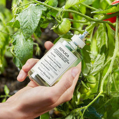 MAISON MARGIELA Replica From The Garden