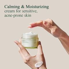 Pyunkang Yul - Calming Moisture Barrier Cream
