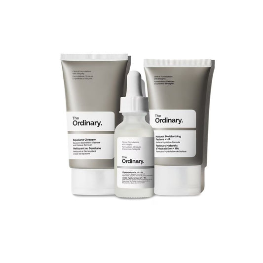 THE ORDINARY The Daily Set