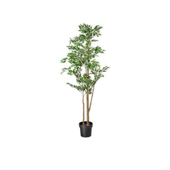 FEJKA Artificial potted plant, in/outdoor Weeping fig, 21 cm