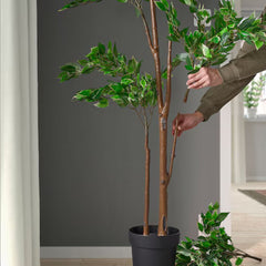 FEJKA Artificial potted plant, in/outdoor Weeping fig, 21 cm