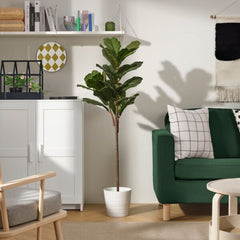 FEJKA Artificial potted plant, in/outdoor fiddle-leaf fig, 19 cm