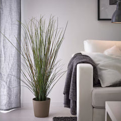 نبات صناعي من فيجكا، عشب، 17 سم