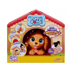 LL FLAT PK PUPPY - BLONDE/BROWN