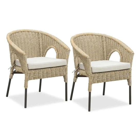 Barany Aluminum & Wicker Dining Chair (64 x 70 x 78 cm, 2 Pc.)